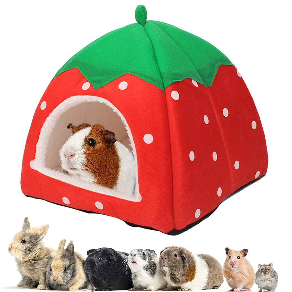 Qpets Winter Bed for Pets, Cute Strawberry Plush House, Hamster Cage with Roof for Small Pet, Hideout Place Hibernation, Plush House for Ferret, Chinchilla, Bunny, Guinea Pig Bed (Within 0.75 kg) Qpets Winter Bed for Pets, Cute Strawberry Plush House, Hamster Cage with Roof for Small Pet, Hideout Place Hibernation, Plush House for Ferret, Chinchilla, Bunny, Guinea Pig Bed (Within 0.75 kg)